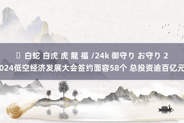 ✨白蛇 白虎 虎 龍 福 /24k 御守り お守り 2024低空经济发展大会签约面容58个 总投资逾百亿元