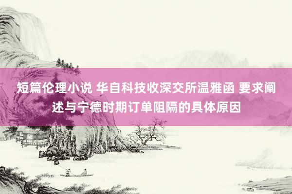 短篇伦理小说 华自科技收深交所温雅函 要求阐述与宁德时期订单阻隔的具体原因