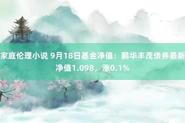 家庭伦理小说 9月18日基金净值：鹏华丰茂债券最新净值1.098，涨0.1%