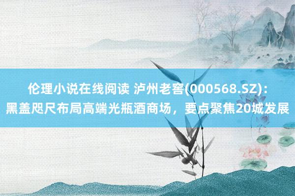 伦理小说在线阅读 泸州老窖(000568.SZ)：黑盖咫尺布局高端光瓶酒商场，要点聚焦20城发展