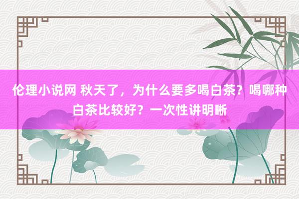 伦理小说网 秋天了，为什么要多喝白茶？喝哪种白茶比较好？一次性讲明晰