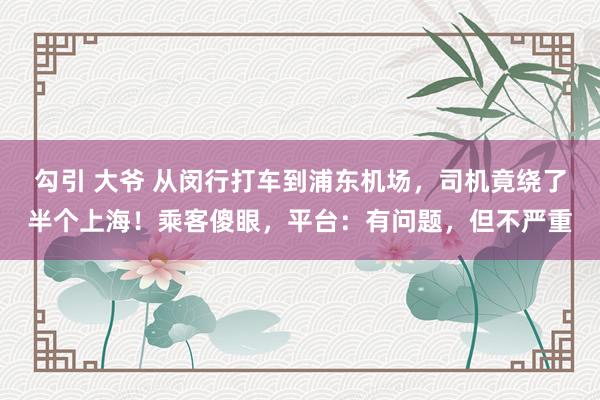 勾引 大爷 从闵行打车到浦东机场，司机竟绕了半个上海！乘客傻眼，平台：有问题，但不严重