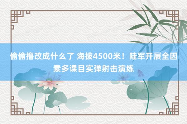 偷偷撸改成什么了 海拔4500米！陆军开展全因素多课目实弹射击演练