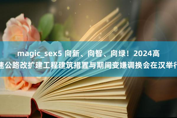 magic_sex5 向新、向智、向绿！2024高速公路改扩建工程建筑措置与期间变嫌调换会在汉举行