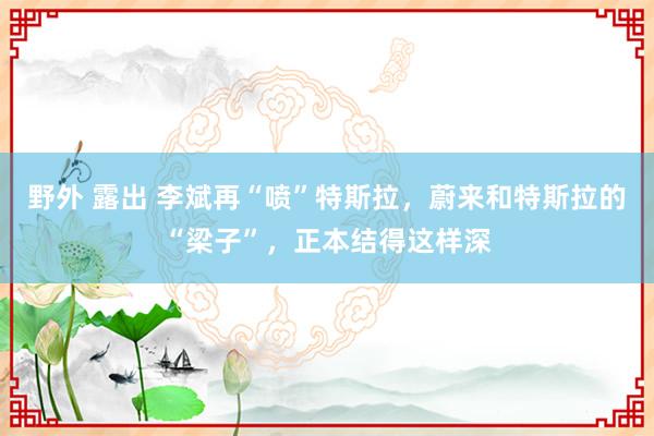 野外 露出 李斌再“喷”特斯拉，蔚来和特斯拉的“梁子”，正本结得这样深