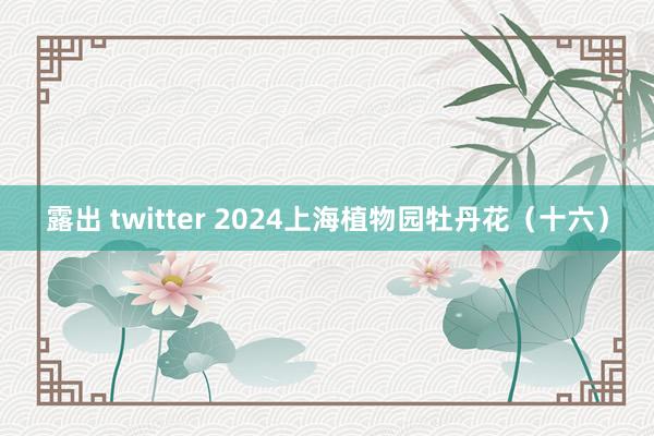 露出 twitter 2024上海植物园牡丹花（十六）