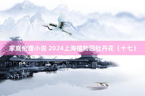 家庭伦理小说 2024上海植物园牡丹花（十七）