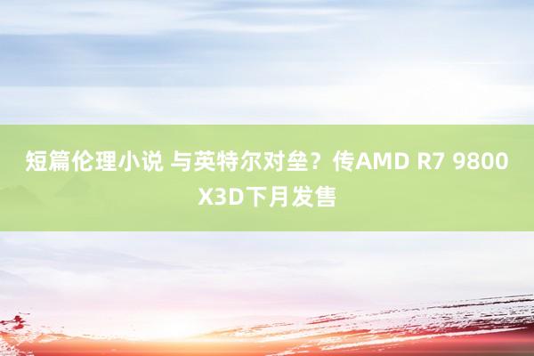 短篇伦理小说 与英特尔对垒？传AMD R7 9800X3D下月发售