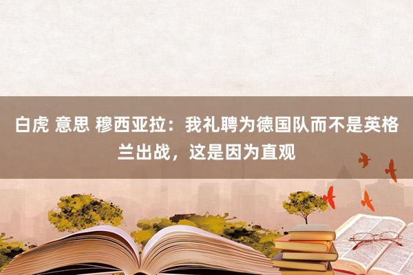 白虎 意思 穆西亚拉：我礼聘为德国队而不是英格兰出战，这是因为直观