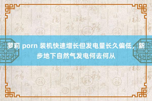 萝莉 porn 装机快速增长但发电量长久偏低，新步地下自然气发电何去何从