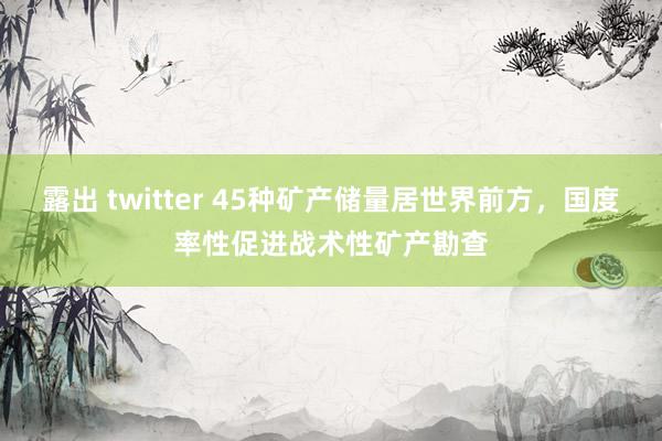 露出 twitter 45种矿产储量居世界前方，国度率性促进战术性矿产勘查