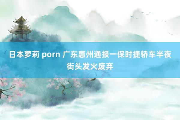 日本萝莉 porn 广东惠州通报一保时捷轿车半夜街头发火废弃