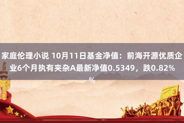 家庭伦理小说 10月11日基金净值：前海开源优质企业6个月执有夹杂A最新净值0.5349，跌0.82%