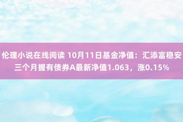 伦理小说在线阅读 10月11日基金净值：汇添富稳安三个月握有债券A最新净值1.063，涨0.15%