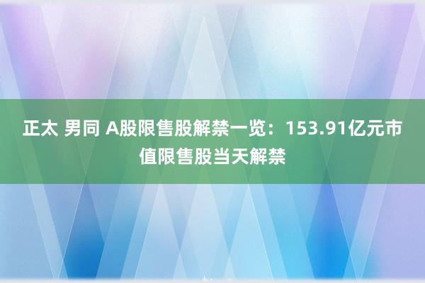 正太 男同 A股限售股解禁一览：153.91亿元市值限售股当天解禁