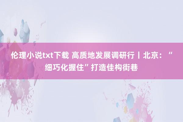 伦理小说txt下载 高质地发展调研行丨北京：“细巧化握住”打造佳构街巷