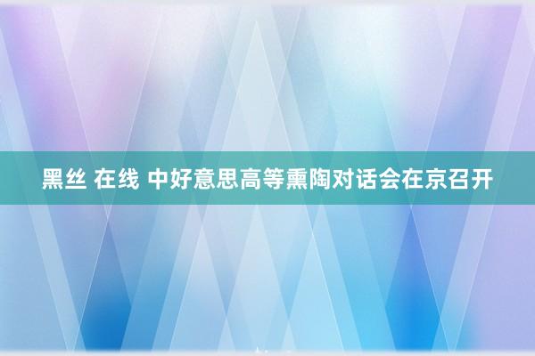 黑丝 在线 中好意思高等熏陶对话会在京召开