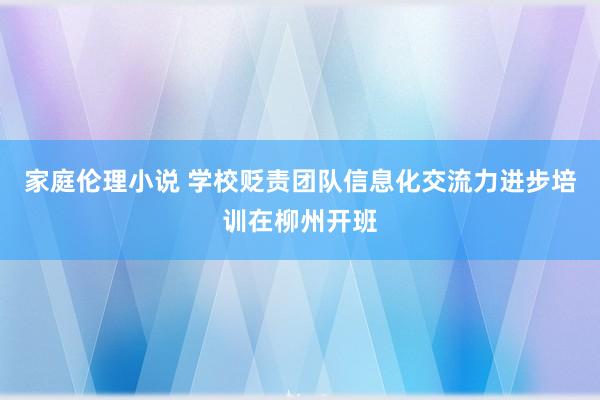 家庭伦理小说 学校贬责团队信息化交流力进步培训在柳州开班