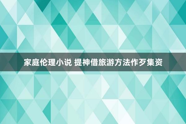 家庭伦理小说 提神借旅游方法作歹集资