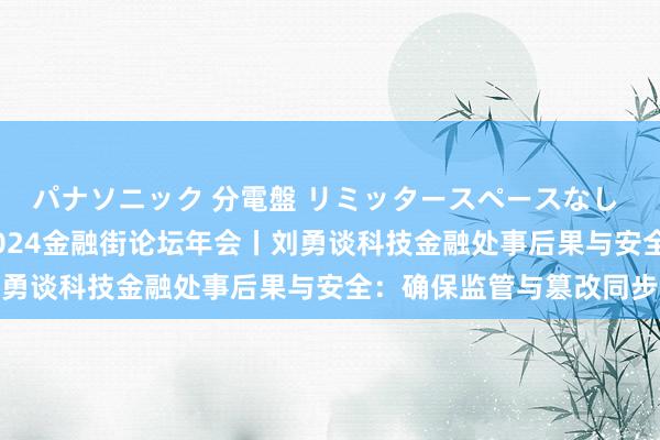 パナソニック 分電盤 リミッタースペースなし 露出・半埋込両用形 2024金融街论坛年会丨刘勇谈科技金融处事后果与安全：确保监管与篡改同步