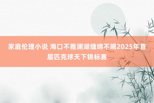 家庭伦理小说 海口不雅澜湖缠绵不竭2025年首届匹克球天下锦标赛