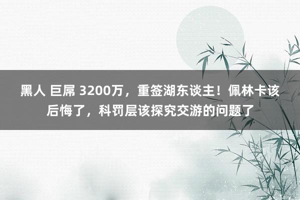 黑人 巨屌 3200万，重签湖东谈主！佩林卡该后悔了，科罚层该探究交游的问题了