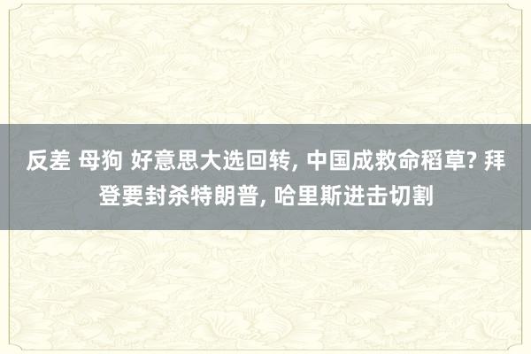 反差 母狗 好意思大选回转， 中国成救命稻草? 拜登要封杀特朗普， 哈里斯进击切割