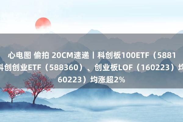 心电图 偷拍 20CM速递丨科创板100ETF（588120）、科创创业ETF（588360）、创业板LOF（160223）均涨超2%