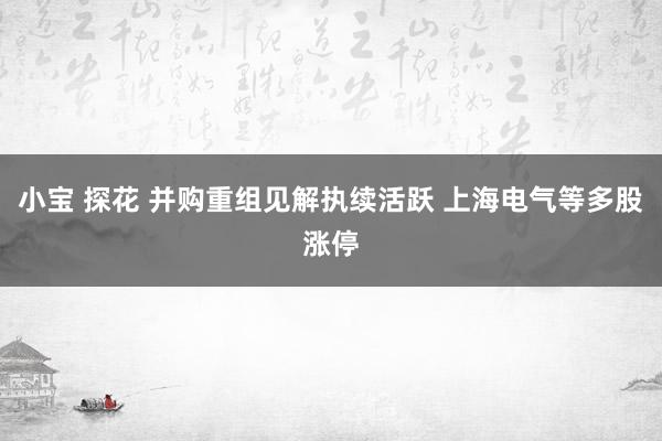 小宝 探花 并购重组见解执续活跃 上海电气等多股涨停