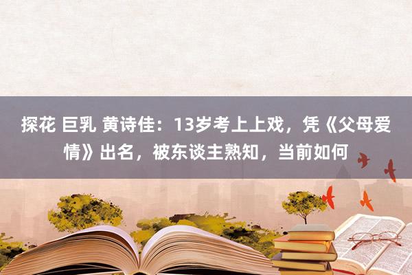 探花 巨乳 黄诗佳：13岁考上上戏，凭《父母爱情》出名，被东谈主熟知，当前如何