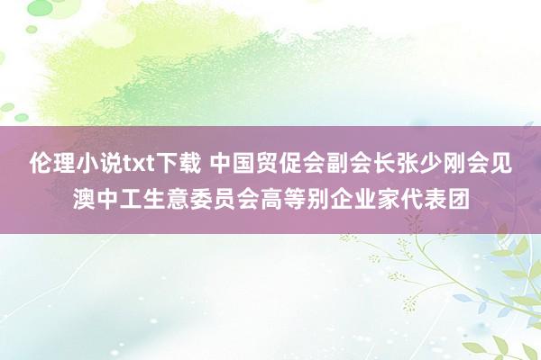 伦理小说txt下载 中国贸促会副会长张少刚会见澳中工生意委员会高等别企业家代表团