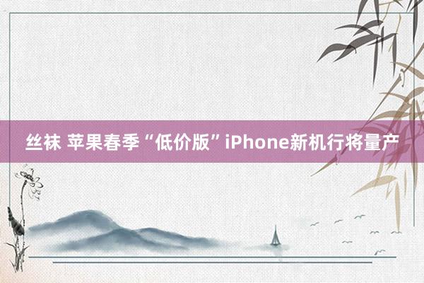 丝袜 苹果春季“低价版”iPhone新机行将量产