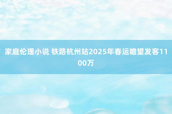 家庭伦理小说 铁路杭州站2025年春运瞻望发客1100万