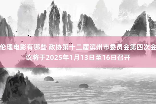 伦理电影有哪些 政协第十二届滨州市委员会第四次会议将于2025年1月13日至16日召开