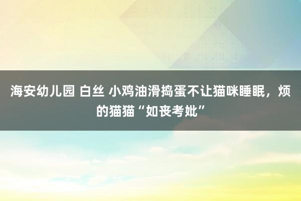 海安幼儿园 白丝 小鸡油滑捣蛋不让猫咪睡眠，烦的猫猫“如丧考妣”