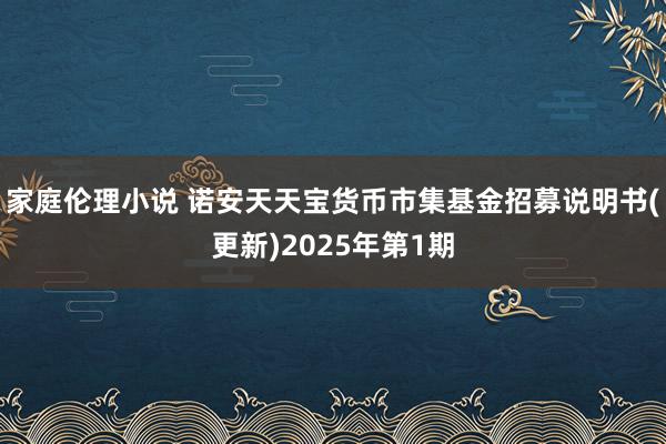 家庭伦理小说 诺安天天宝货币市集基金招募说明书(更新)2025年第1期