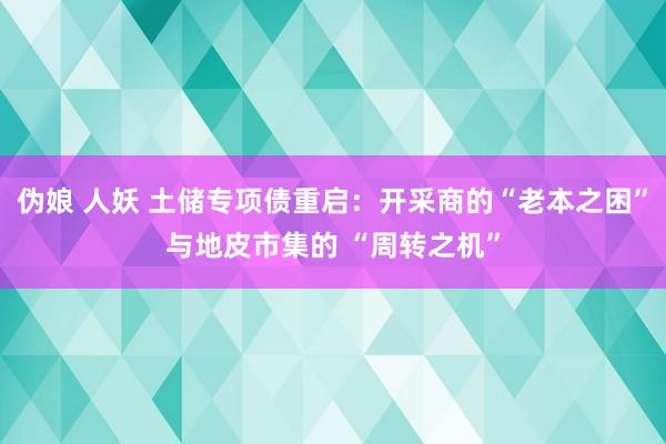 伪娘 人妖 土储专项债重启：开采商的“老本之困”与地皮市集的 “周转之机”