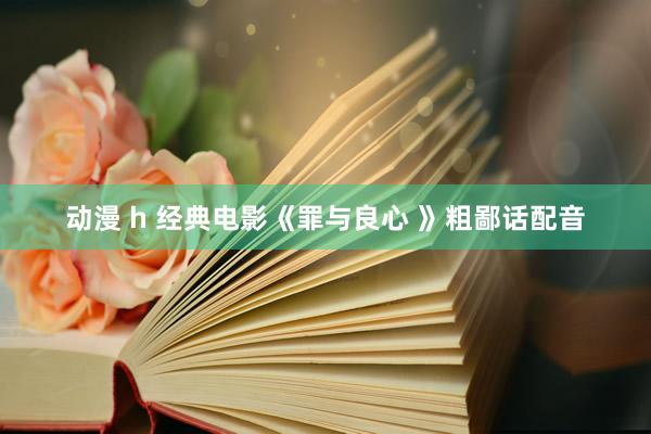 动漫 h 经典电影《罪与良心 》粗鄙话配音